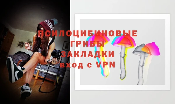 спайс Михайлов