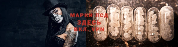 спайс Михайлов